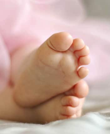 You are currently viewing <br> February 20, 2025