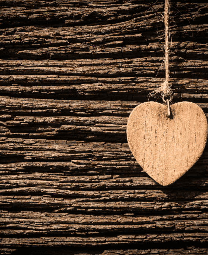 You are currently viewing <br> November 9, 2021