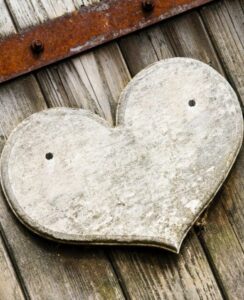 Read more about the article <br> December 21, 2022