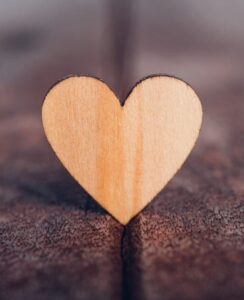 Read more about the article <br> August 13, 2022