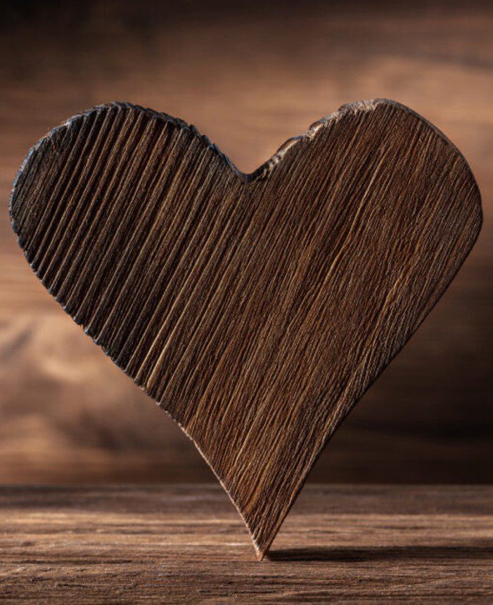 You are currently viewing <br> December 13, 2024