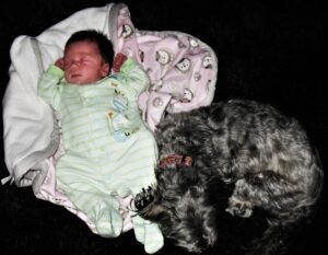 Read more about the article Birth Mother Wanted to Decide