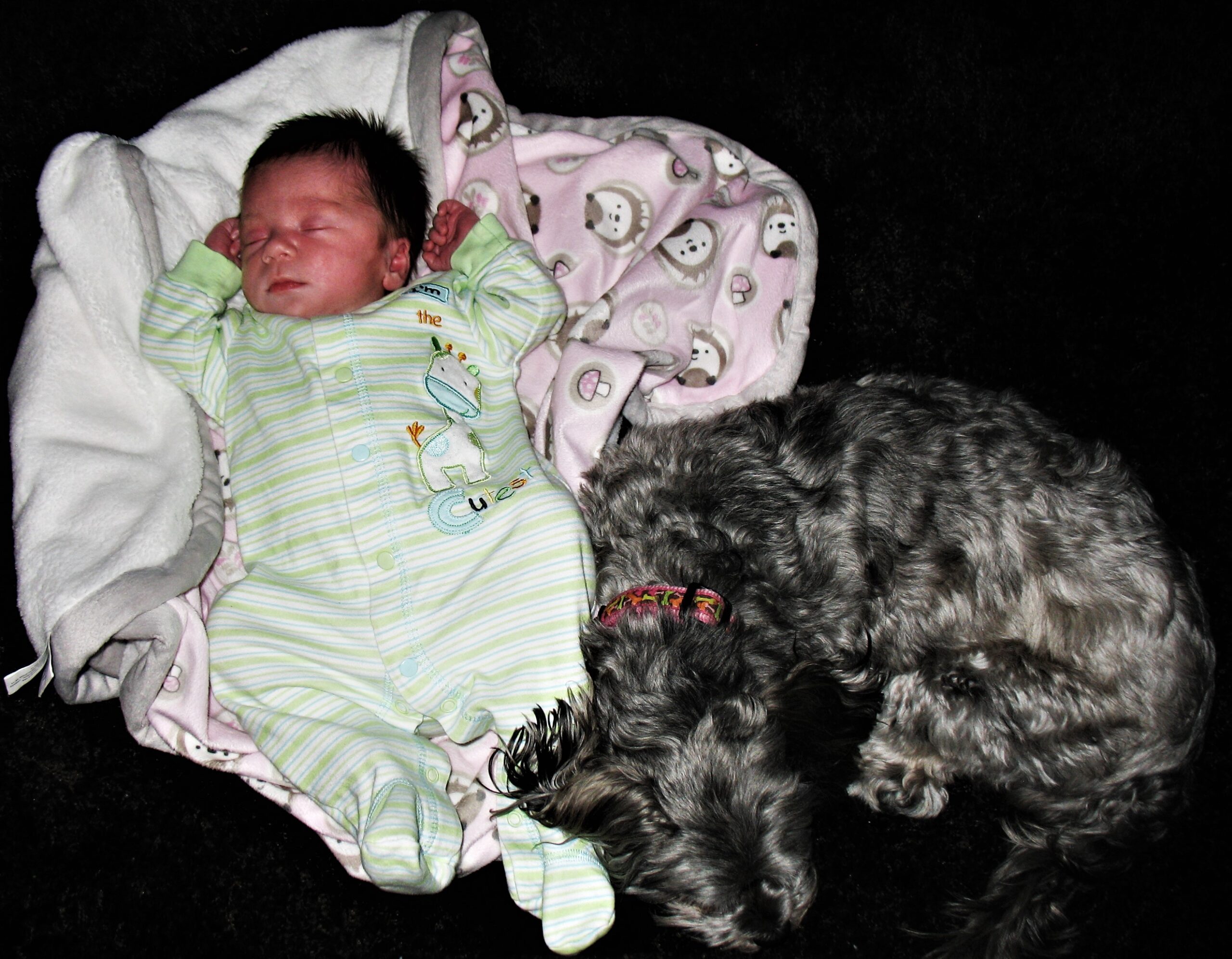 Read more about the article Birth Mother Wanted to Decide