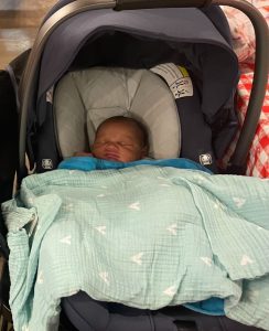 Read more about the article Adam and Amanda <br> March 2, 2023