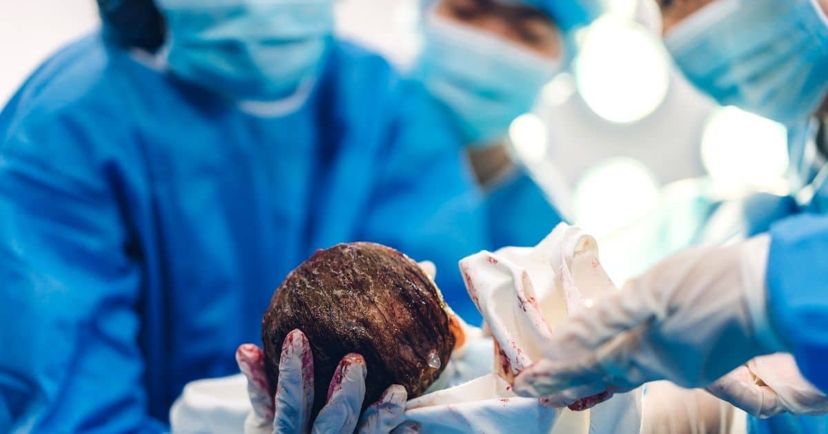 Read more about the article Quick. An Adoption Agency Near Me