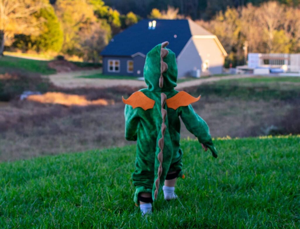 local adoption agencies, pregnant adoption, adoption for my child