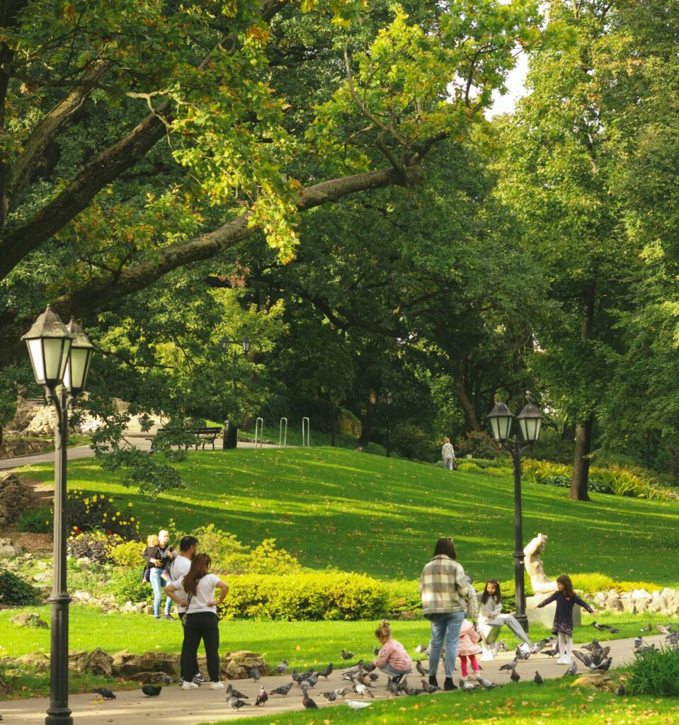 open adoption, adoption