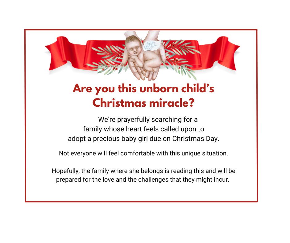 Read more about the article Hopefully the Right Family Finds This