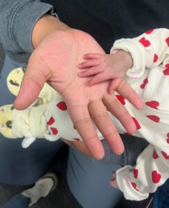 Read more about the article <br> January 16, 2025